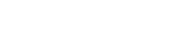 the allyson group logo